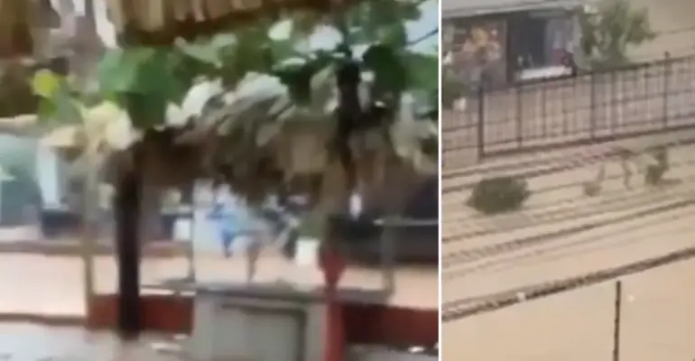 Videos | Fuertes lluvias golpearon a Santa Marta y provocaron inundaciones y problemas de movilidad: esto dijo el Ideam