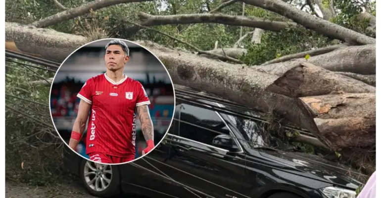 Video | Un árbol impactó el vehículo del jugador de América de Cali Nicolás Hernández en pleno vendaval