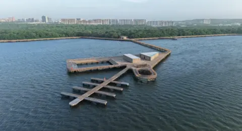 De ciénaga contaminada a joya del turismo de naturaleza: Mallorquín, el tesoro que Barranquilla recuperó y hoy atrae a miles de visitantes