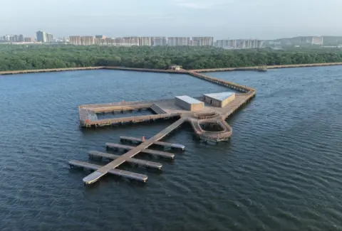 De ciénaga contaminada a joya del turismo de naturaleza: Mallorquín, el tesoro que Barranquilla recuperó y hoy atrae a miles de visitantes