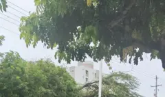 Emergencias por lluvias en el Caribe: primeros balances de inundaciones y desbordamientos en varias ciudades; se esperan más precipitaciones