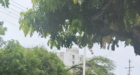 Emergencias por lluvias en el Caribe: primeros balances de inundaciones y desbordamientos en varias ciudades; se esperan más precipitaciones