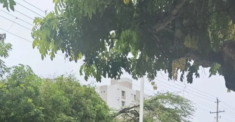 Emergencias por lluvias en el Caribe: primeros balances de inundaciones y desbordamientos en varias ciudades; se esperan más precipitaciones