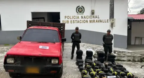 Lo que parecía el volcamiento de una camioneta reveló el transporte de 180 kilos de marihuana en el norte del Valle